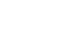 Polski Tłumacz PL/ NL Poolse Tolk NL/PL